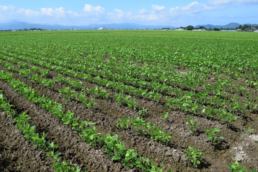 ジョンディア コンバインを導入するメリット