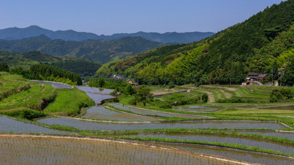日本の農業とジョンディアのこれから