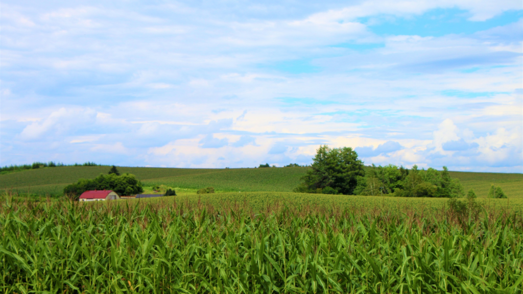 ジョンディアの日本での展開と基本情報